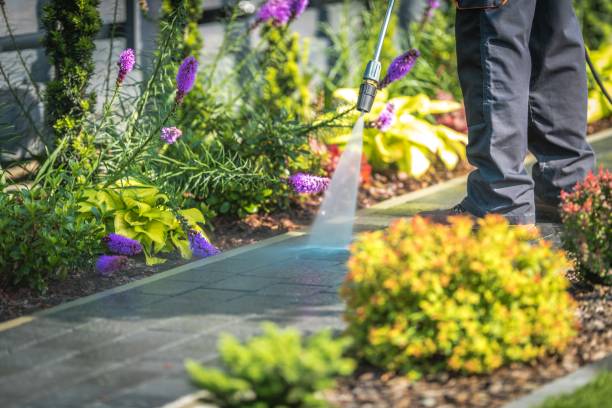 Best Parking Lot and Garage Cleaning  in Lincoln, MO